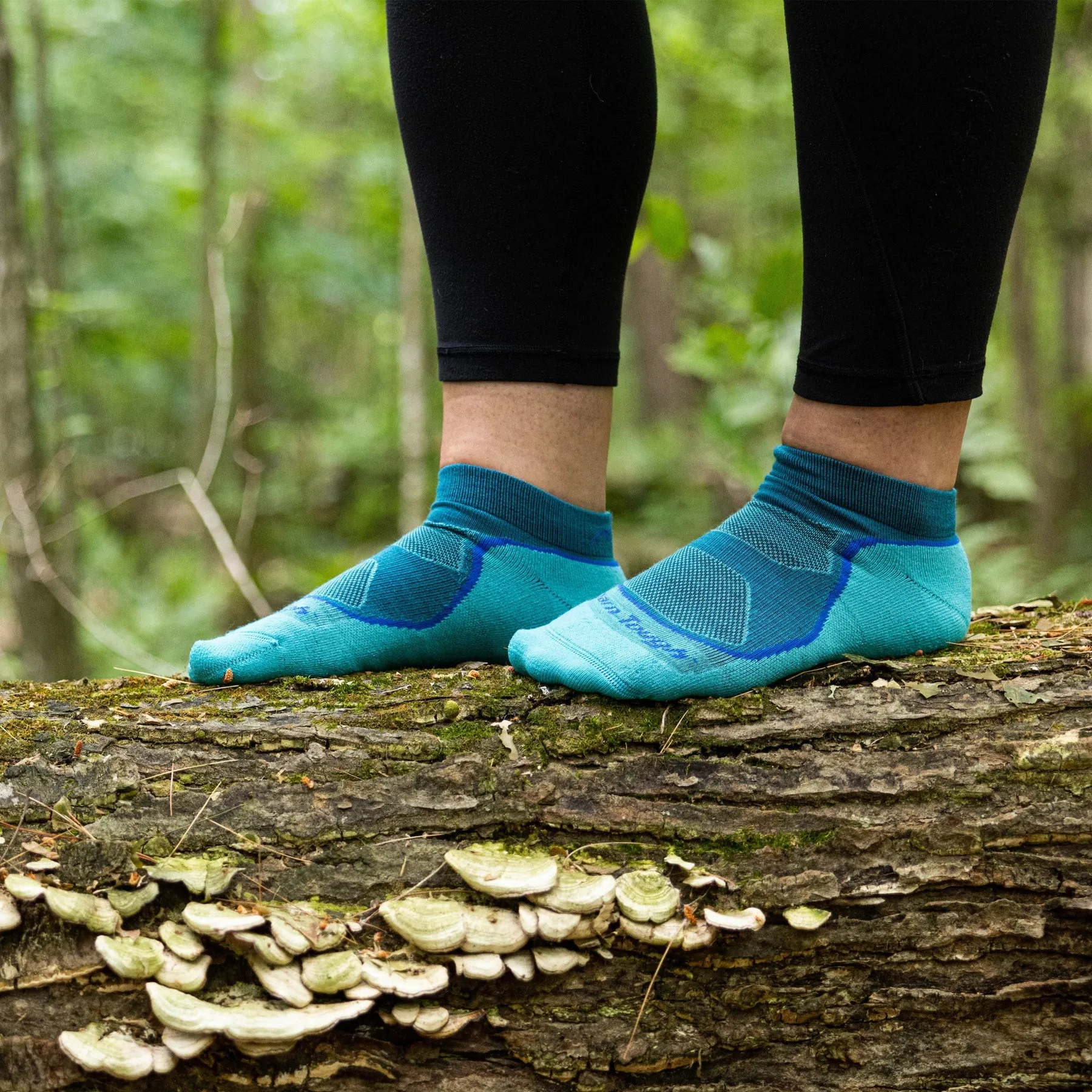 Darn Tough Women's Light Hiker No Show Lightweight with Cushion Socks