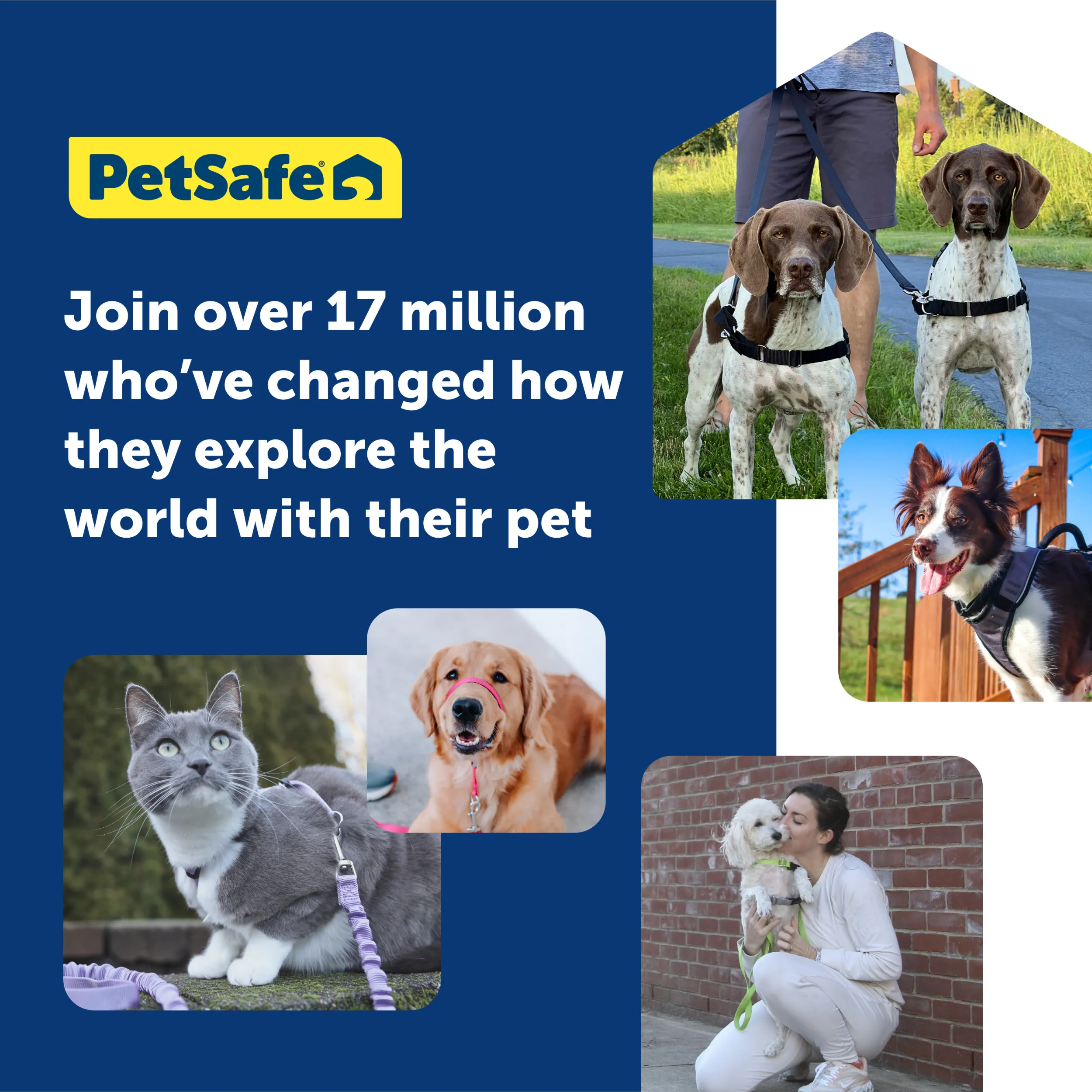 Deluxe Easy Walk® Harness
