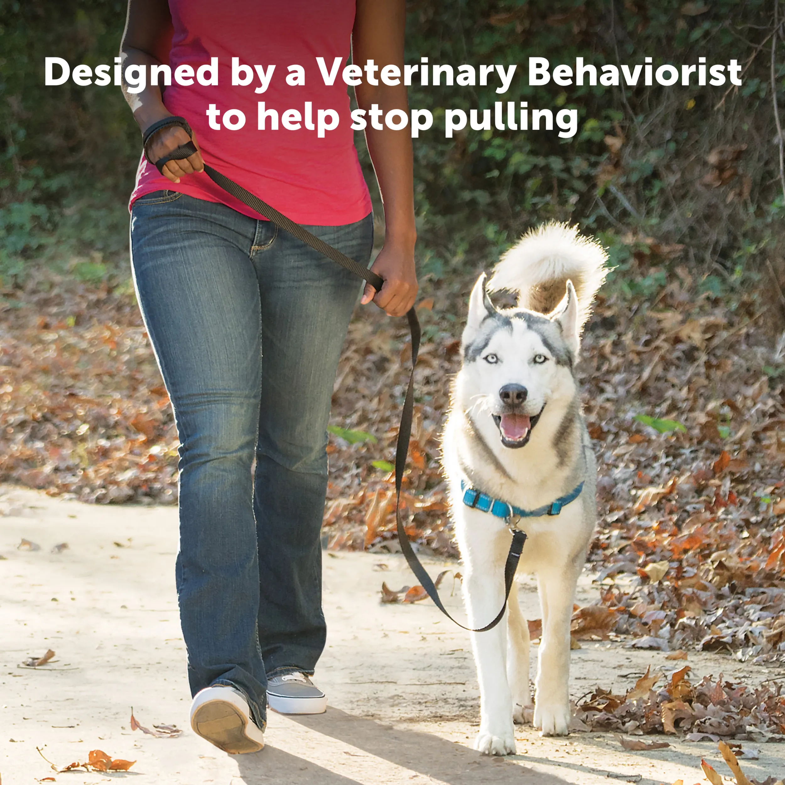 Deluxe Easy Walk® Harness