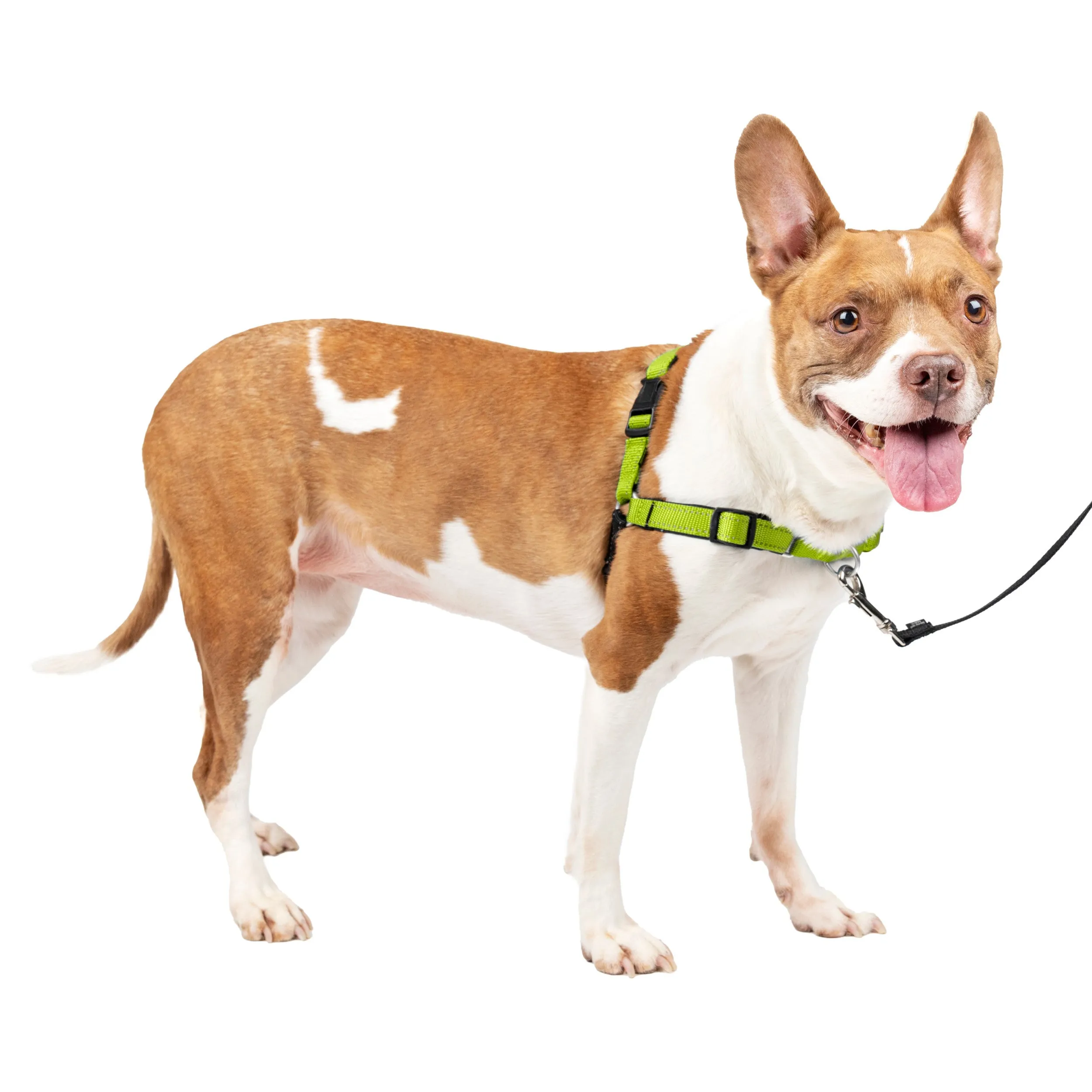 Deluxe Easy Walk® Harness