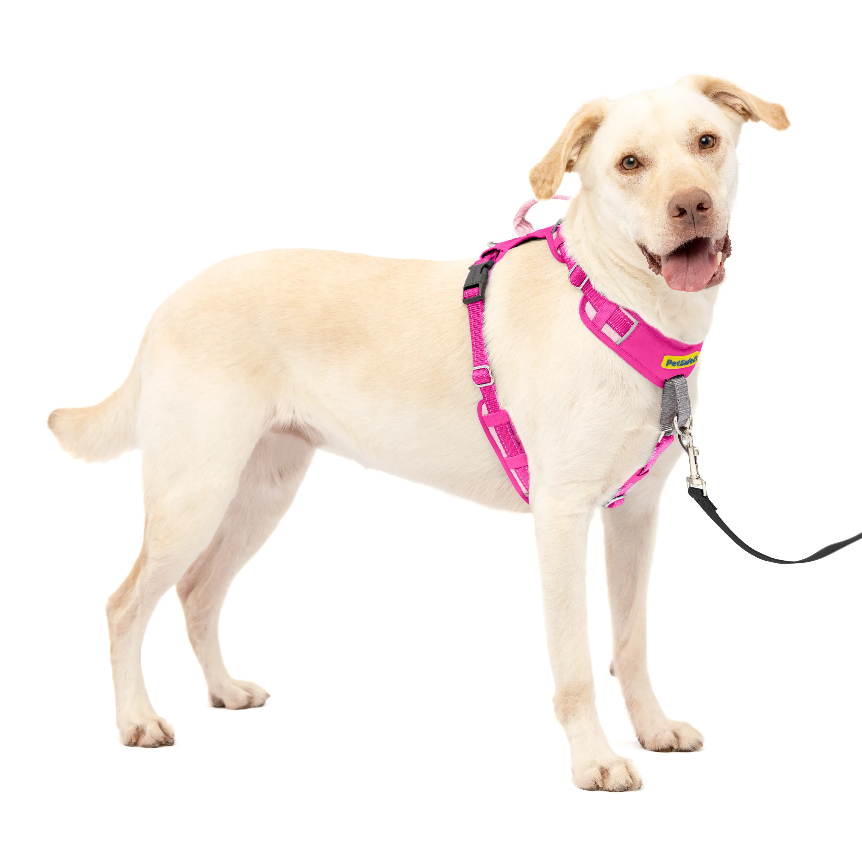 Easy Walk® Comfort No-Pull Dog Harness