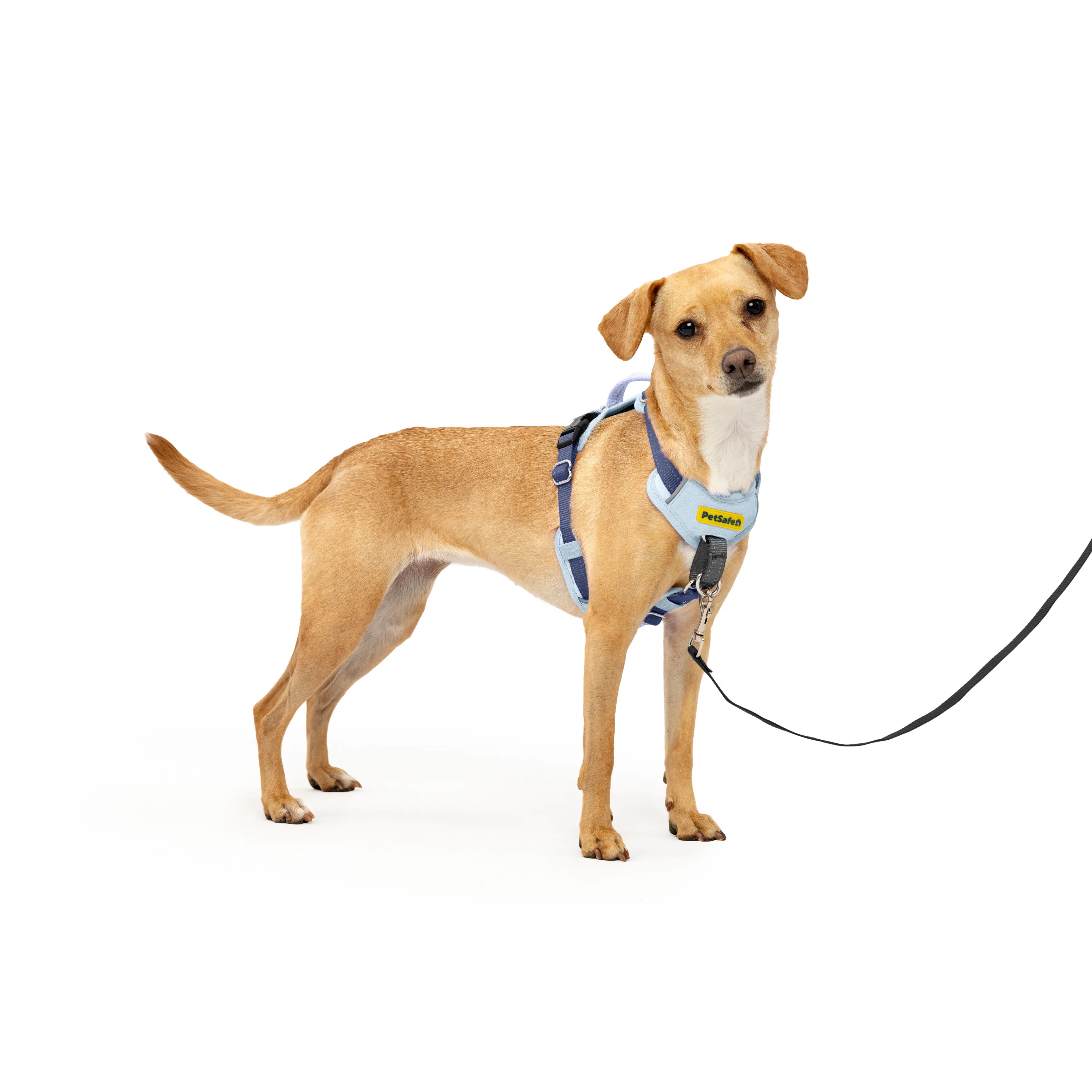 Easy Walk® Comfort No-Pull Dog Harness