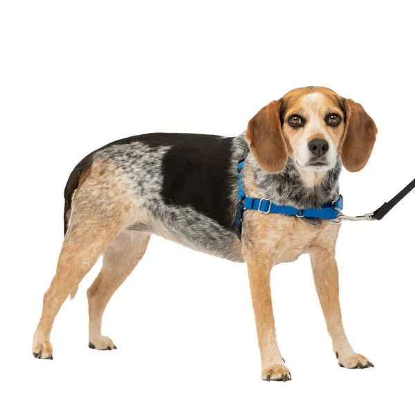 Easy Walk No Pull Dog Harness