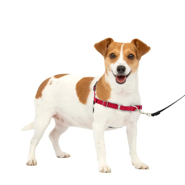 Easy Walk No Pull Dog Harness
