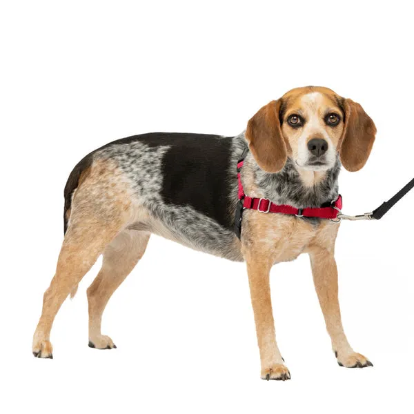 Easy Walk No Pull Dog Harness