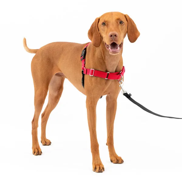 Easy Walk No Pull Dog Harness