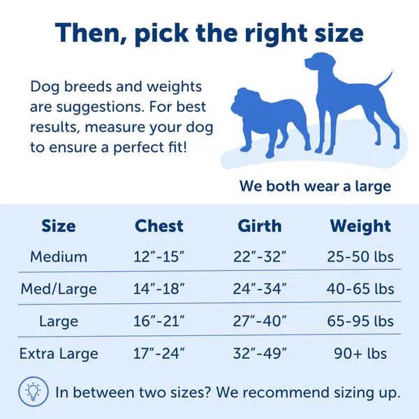 Easy Walk No Pull Dog Harness