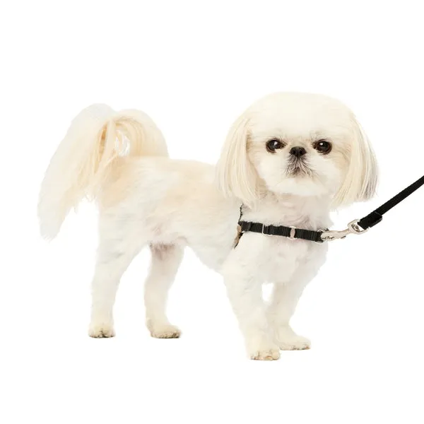 Easy Walk No Pull Dog Harness