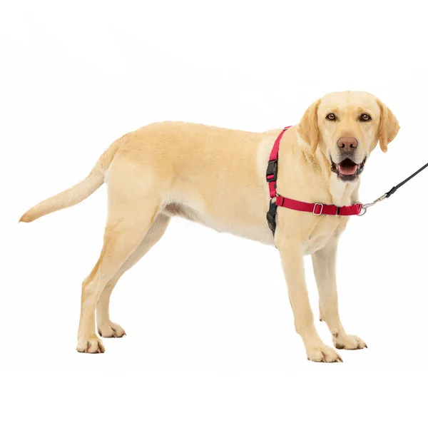 Easy Walk No Pull Dog Harness