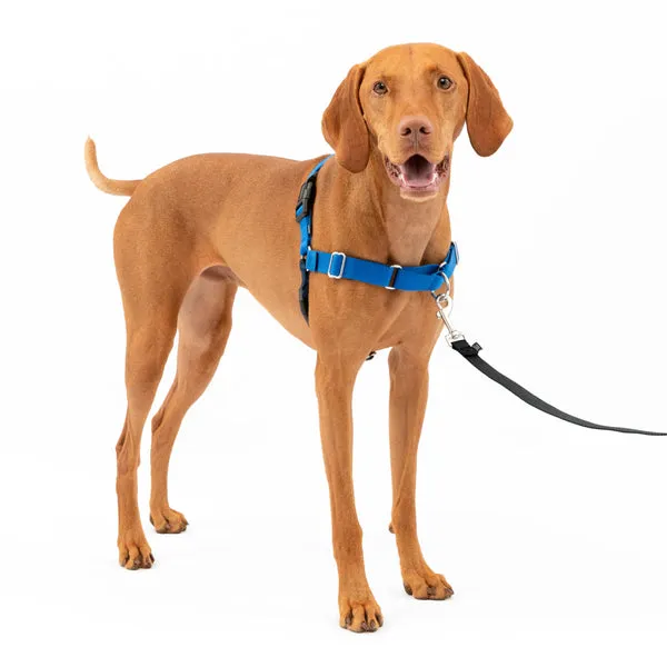 Easy Walk No Pull Dog Harness