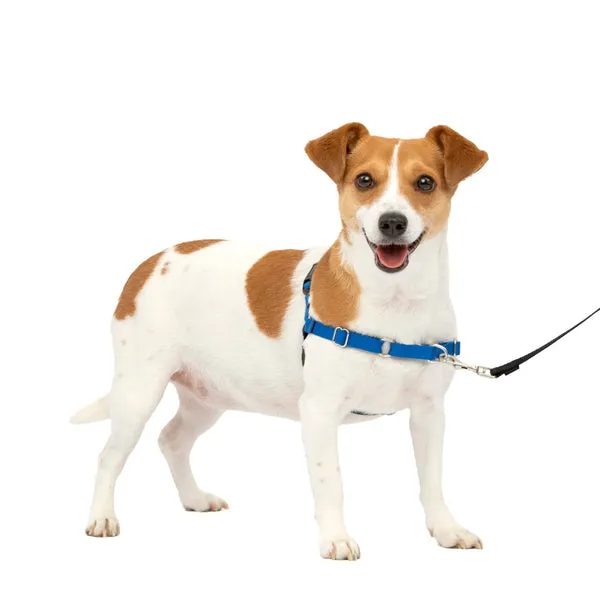 Easy Walk No Pull Dog Harness