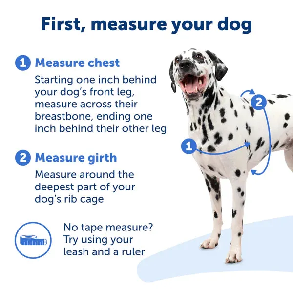 Easy Walk No Pull Dog Harness
