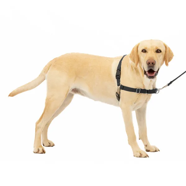Easy Walk No Pull Dog Harness