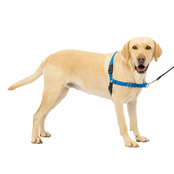 Easy Walk No Pull Dog Harness