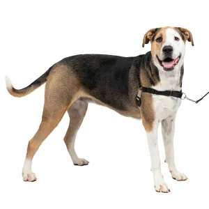 Easy Walk No Pull Dog Harness