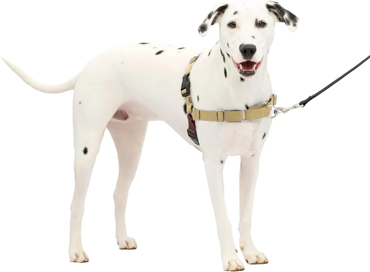 Easy Walk No Pull Dog Harness