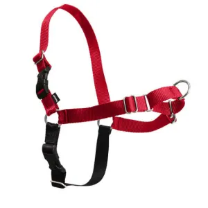 Pet Safe Easy Walk Harness