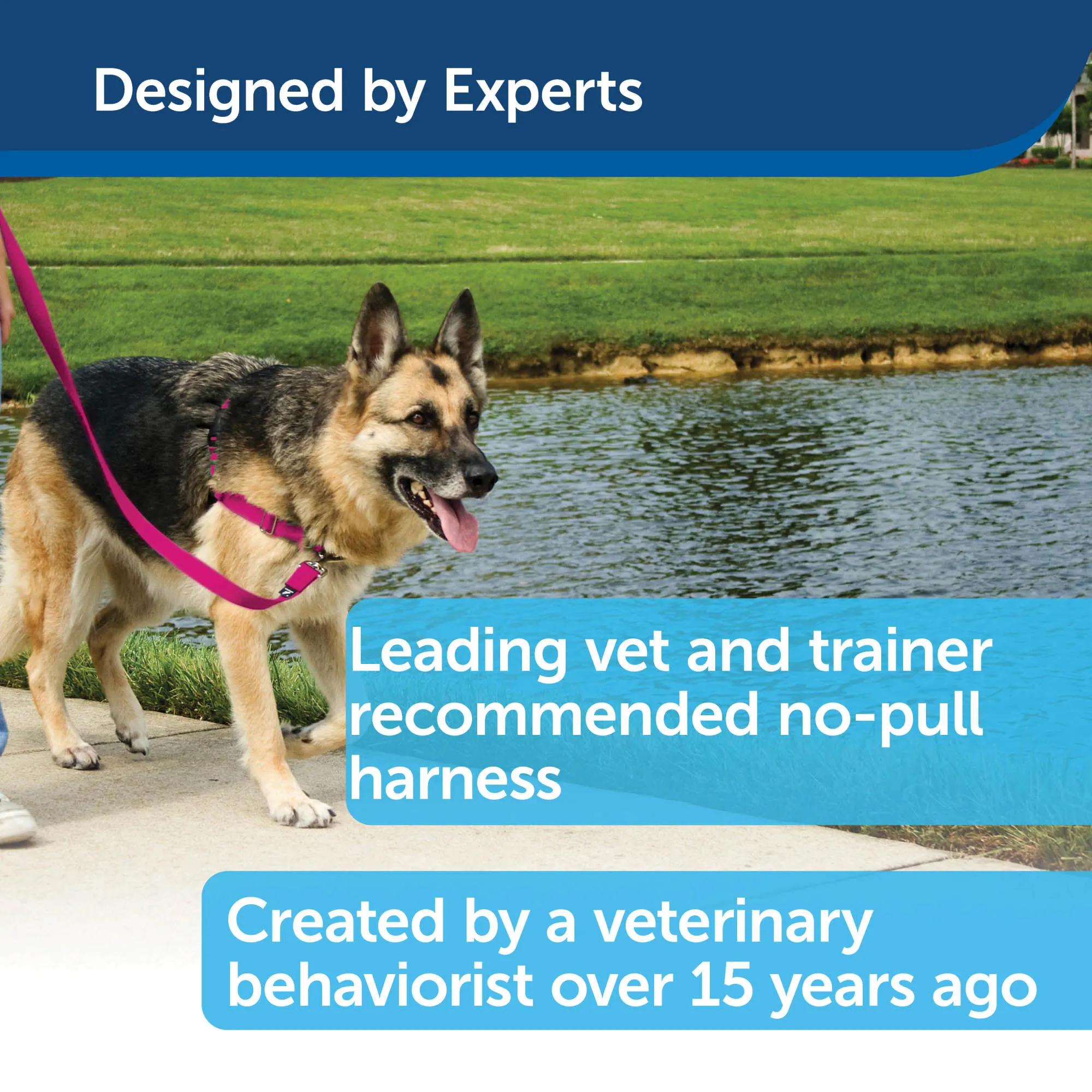 PetSafe Easy Walk Dog Harness - No Pull Dog Harness - Red
