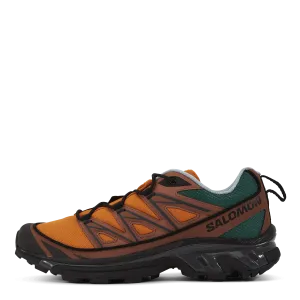 Xt-6 Expanse 75th Golden Oak/a