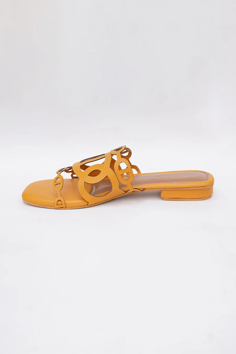 Yellow Sunshine Flats